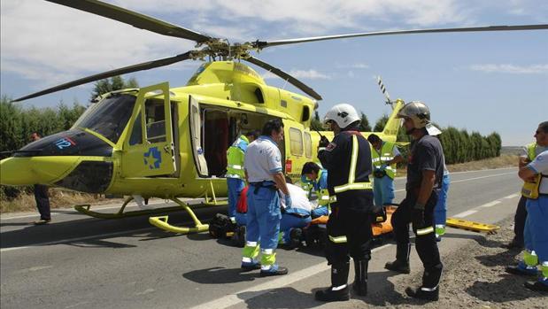 Un hombre de 80 años sufre posible paraplejia tras caer del árbol que podaba en La Hiruela