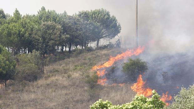 Las huellas de un caballo ayudan a investigar a los autores de un incendio