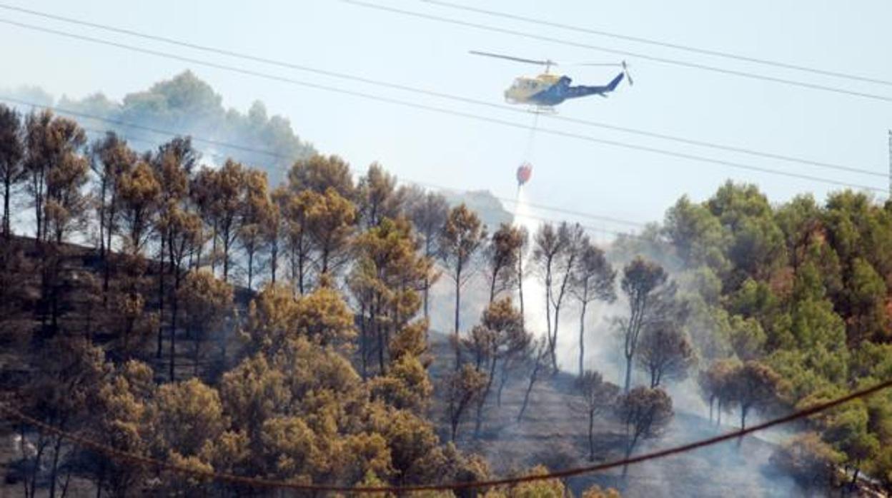 Incendio declarado en agosto del pasado año