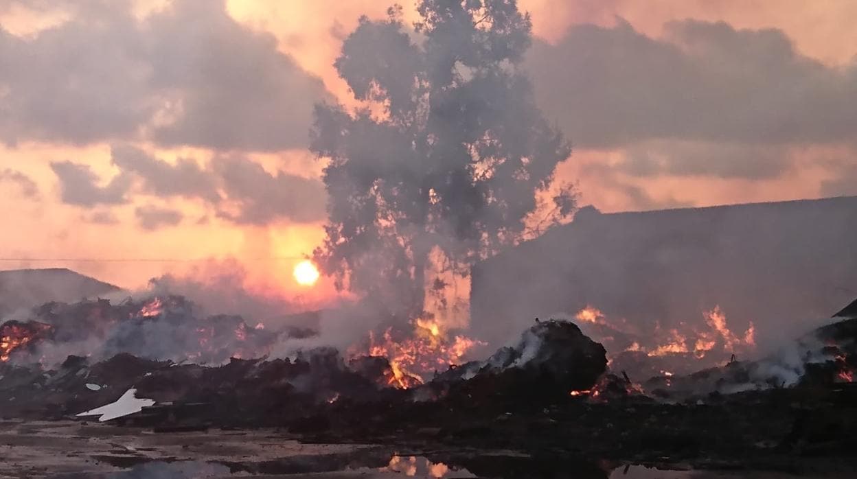 Imagen del incendio en Sollana