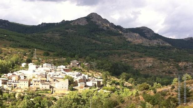 Historia de una supervivencia