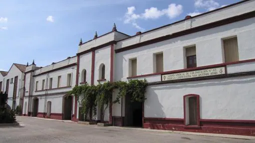 Bodegas San Antonio Abad Cooperativa, en Villamalea (Albacete)