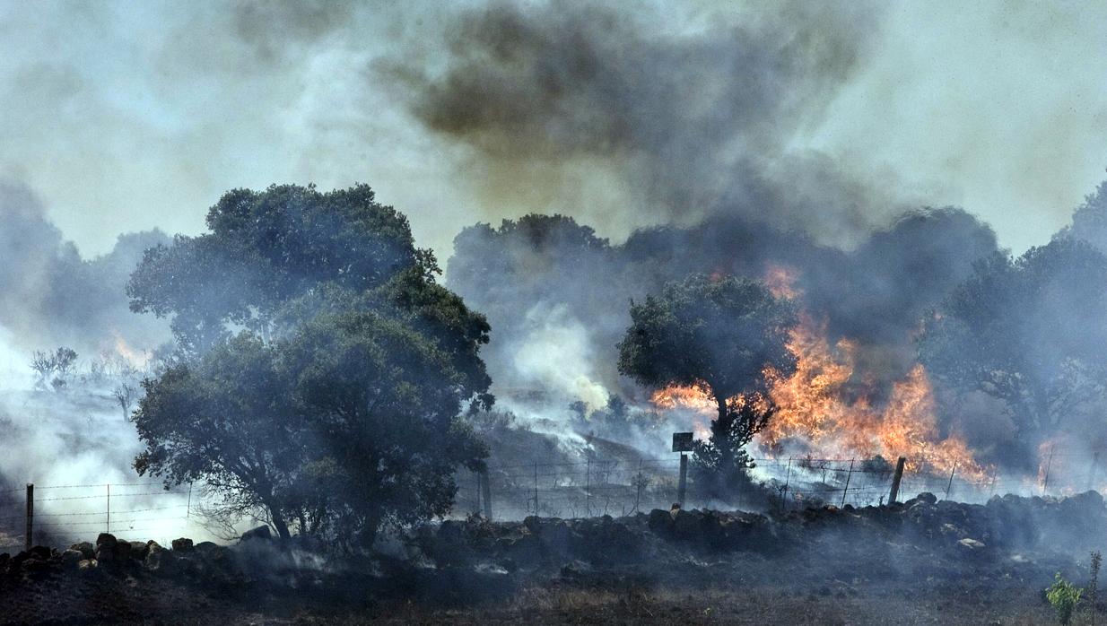 Un incendio forestal en una imagen de archivo