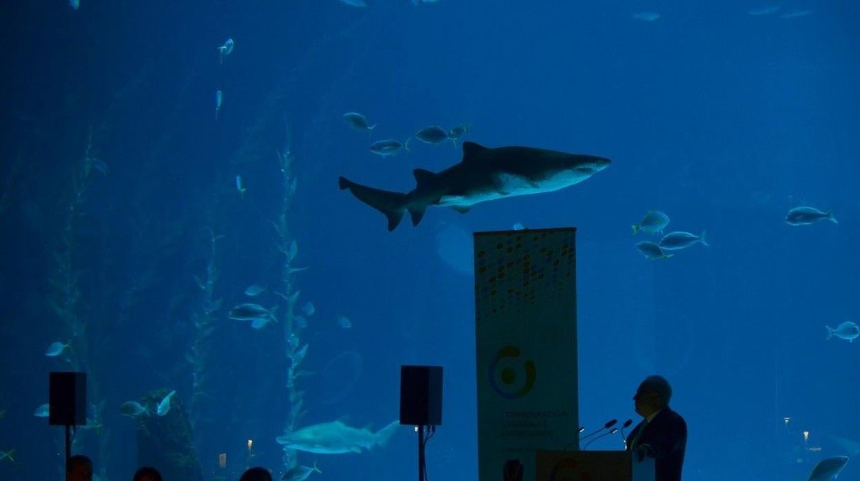 Acto del 40 aniversario de la Patronal de Las Palmas en el acuario Poema del Mar