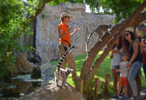 El Bioparc ofrece más actividades gratuitas y amplía su horario en verano