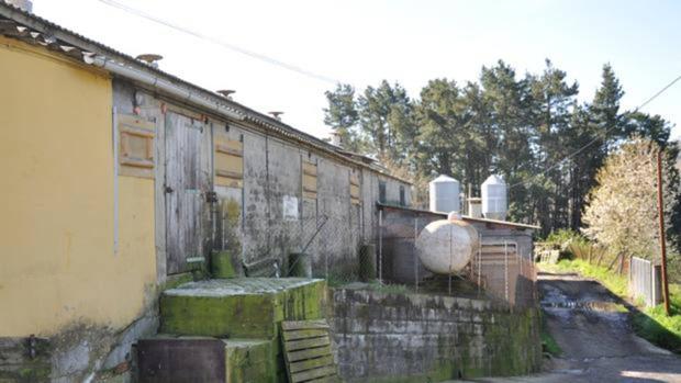 Los tres hombres esclavizados en «la granja de los horrores» logran la residencia española