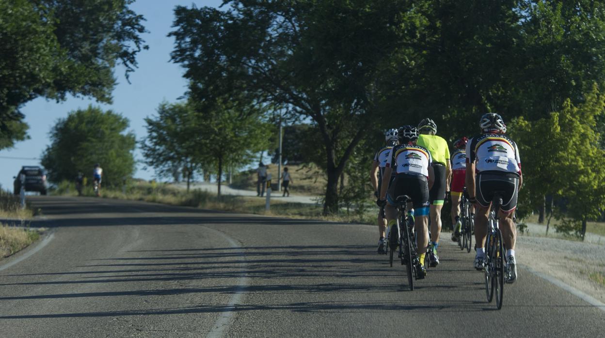 Imagen de archivo de unos ciclistas en carretera