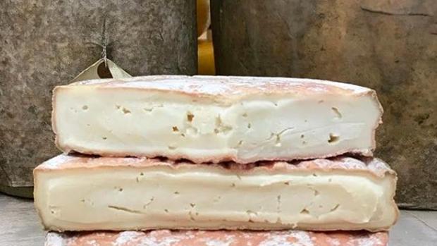 Once intoxicados en Canarias por consumo de queso