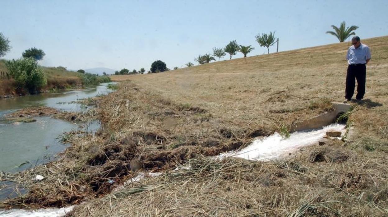 En La Mancha Húmeda la extracción de agua de los acuíferos para la actividad agrícola tiene colapsado todo el sistema de aguas subterráneo