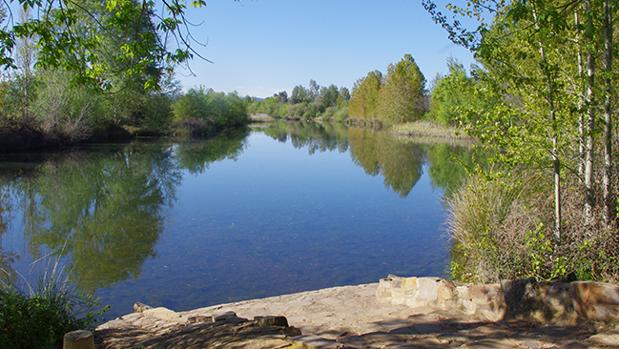 El alcalde de El Torno denuncia el «repulsivo estado» del agua