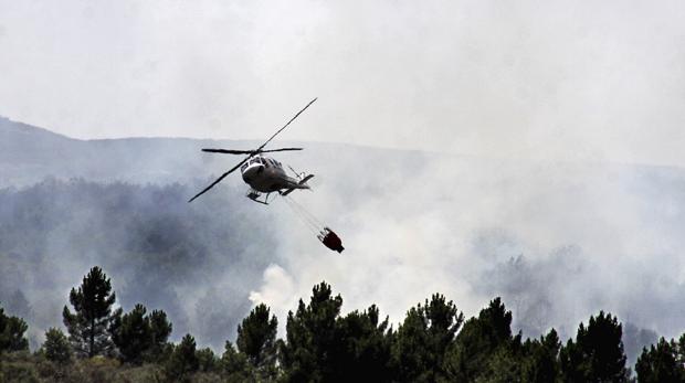 Detenido el presunto autor del incendio forestal de La Cabrera que acabó con 9.000 hectáreas