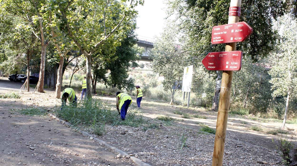 El plan incluye los más diversos trabajos en la ciudad