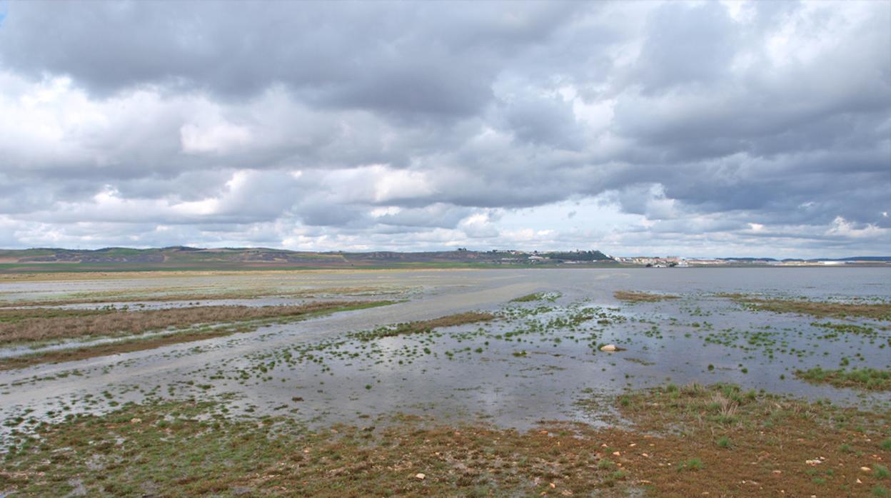 Imagen de la Laguna del Hito, cerca de Villar de Cañas (Cuenca)