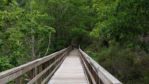 Iamegn de la pasarela de madera de la ruta del río Mao