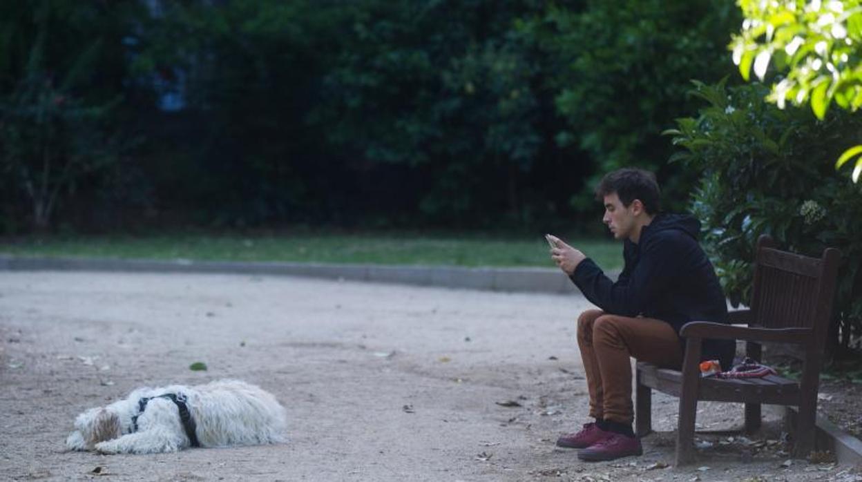 Un perro y su propietario en un parque de Barcelona