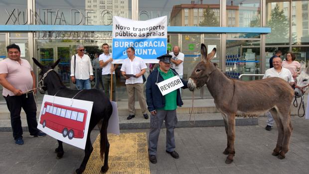 El alcalde comunista de Oleiros utiliza tres asnos para protestar contra la «burrocracia» de la Xunta