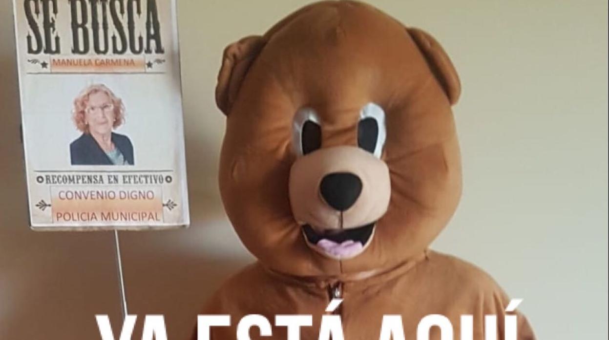Este es el «Oso Moroso»