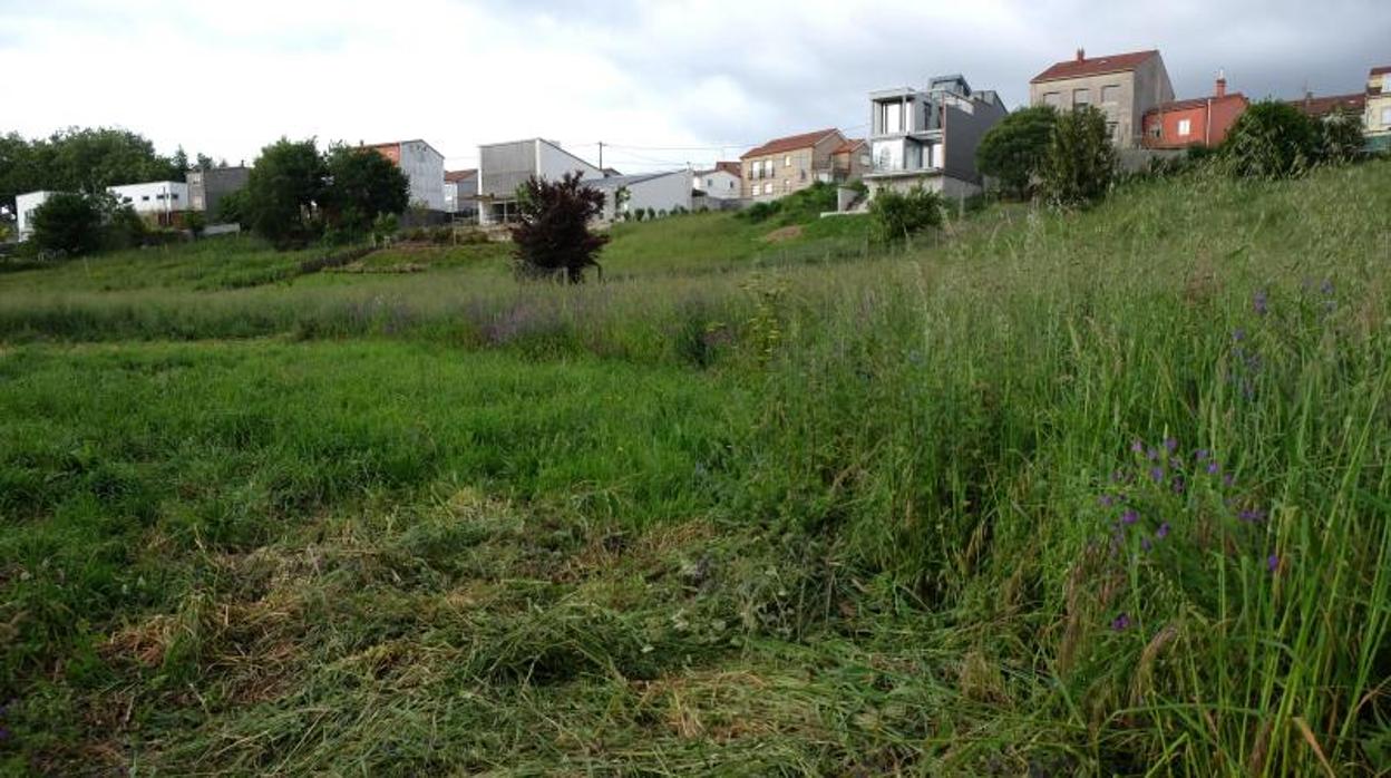 Acumulación de maleza en una finca próxima al núcleo urbano