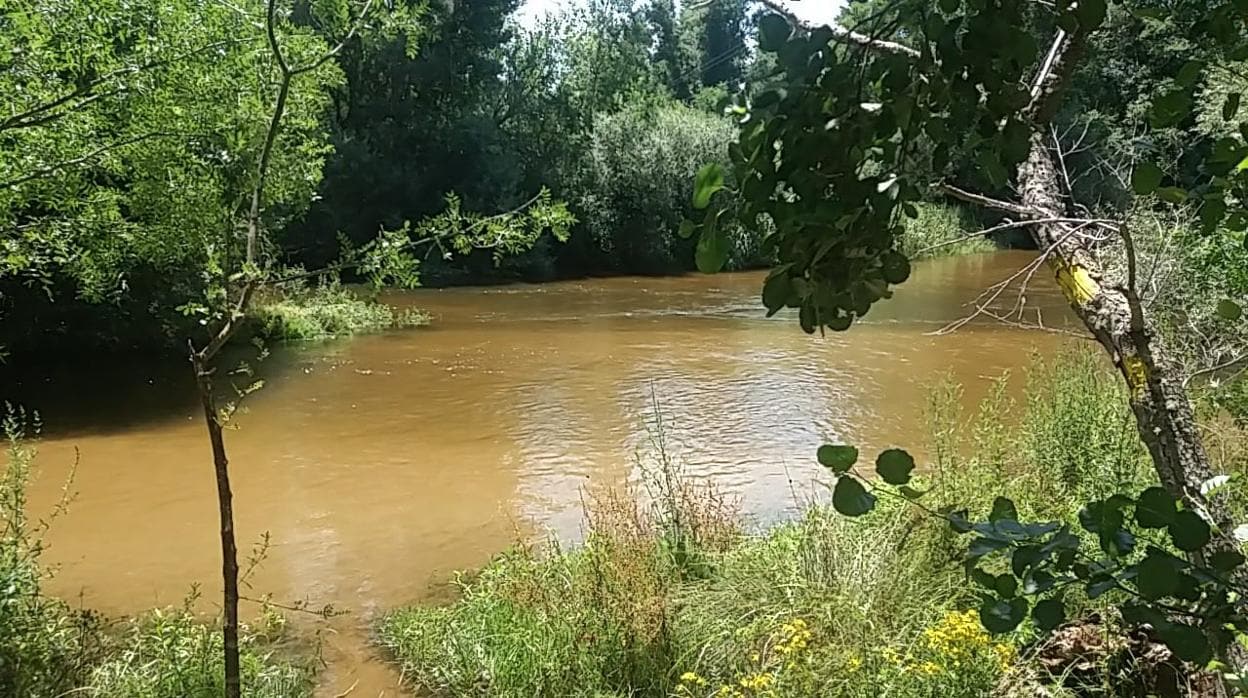 El río Alberche a su paso por la localidad de Escalona