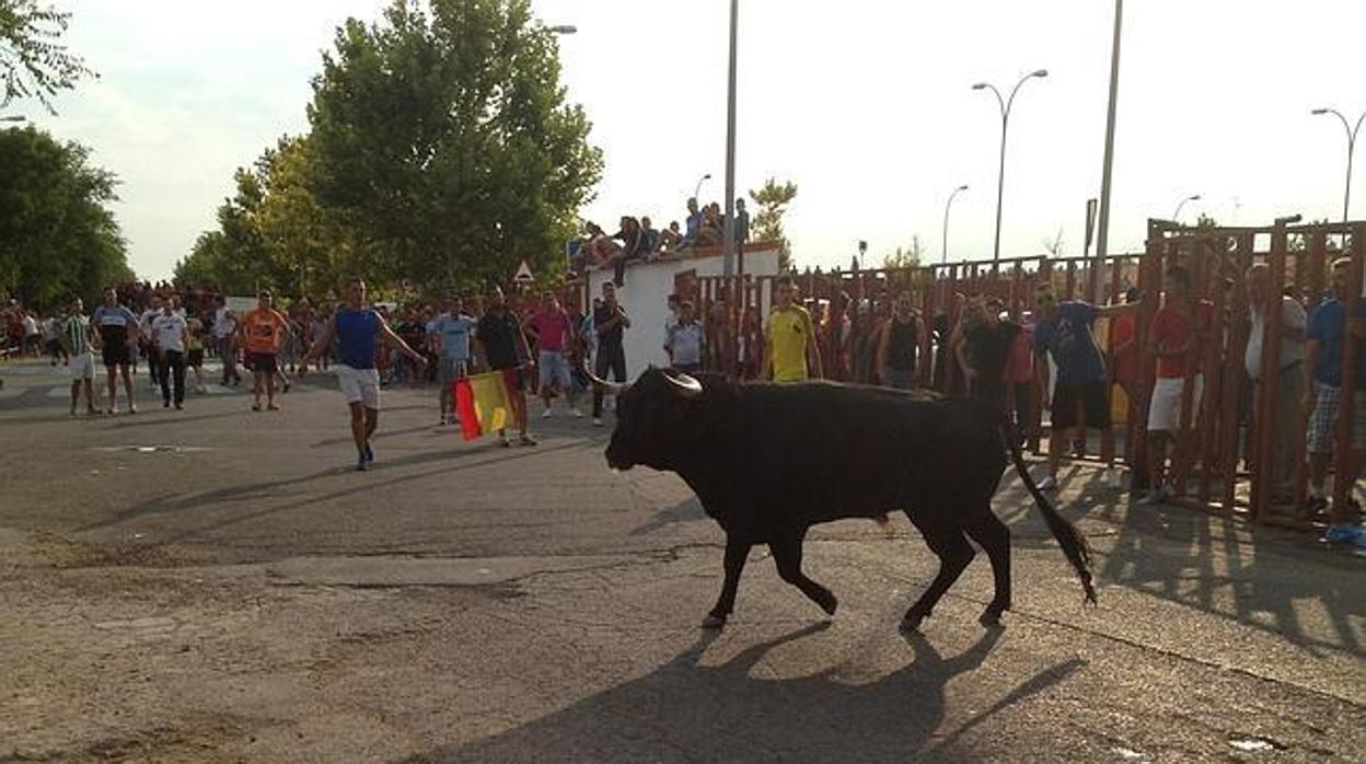 Encierro en la localidad de Seseña