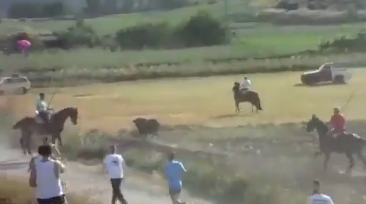 Captura del video del encierro donde se produce el atropello del animal