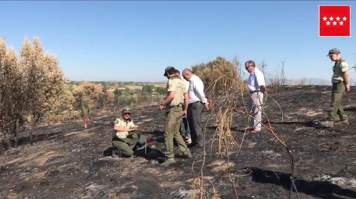 Las brigadas de investigación de incendios de la Comunidad de Madrid buscando rastros del origen del fuego