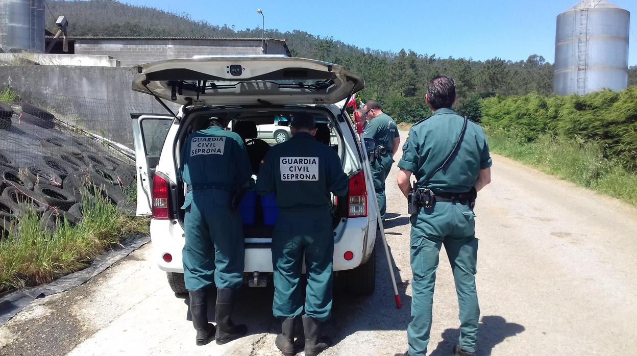 Agentes del Seprona desplegados en la zona