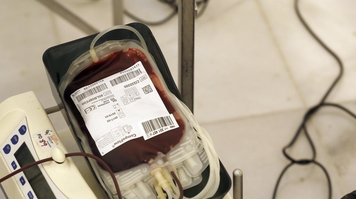 Las reservas de sangre del grupo 0+ se encuentran en nivel rojo y es necesario donar «lo antes posible»