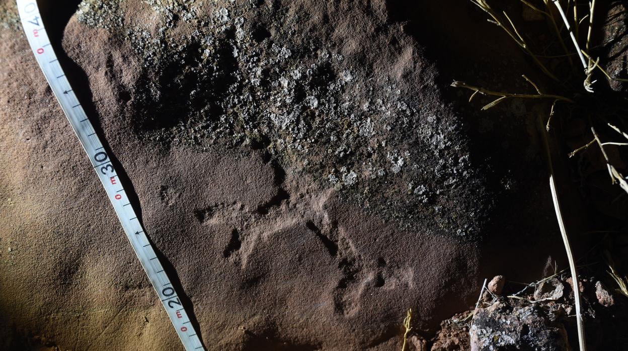 Uno de los petroglifos que pueden verse en la ruta nocturna