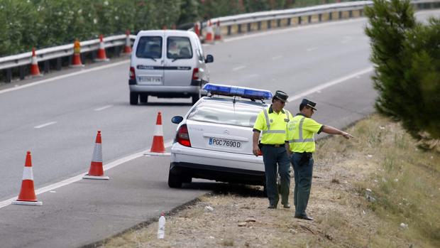 Investigado un hombre por lanzar a un cachorro de mastín desde un puente en Castellón