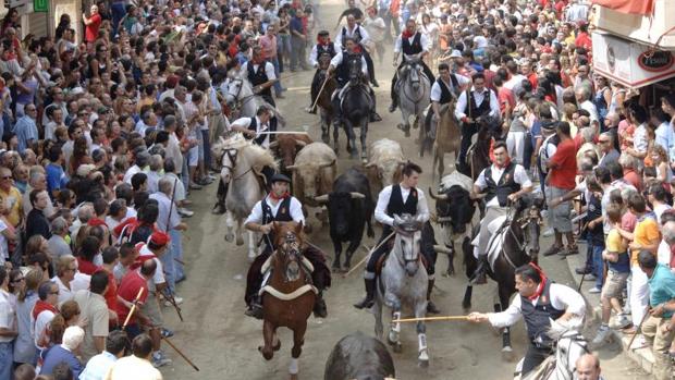 À Punt retransmitirá la Entrada de Toros y Caballos de Segorbe