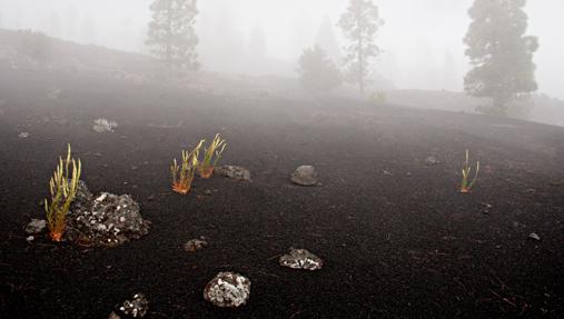 Cinco bellas fotos de Canarias gracias a los vientos alisios