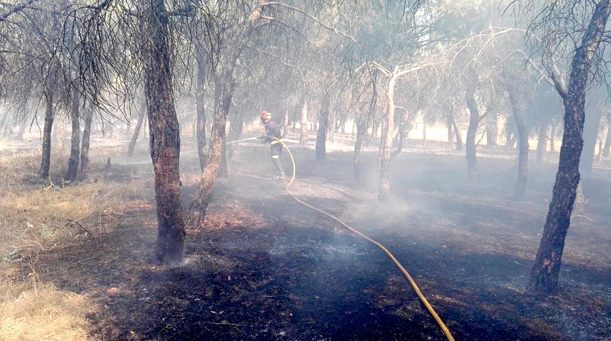 Foto de archivo de un incendio