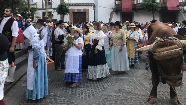 Los canarios, ejemplares en la fiesta de la Virgen del Pino: pocos residuos y escasos incidentes