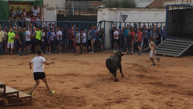 Tres heridos por asta de toro en el encierro de Mocejón