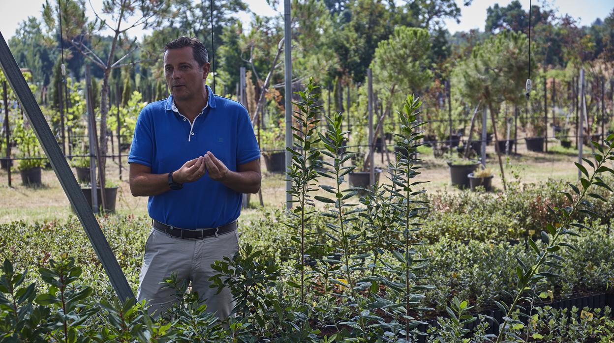 Francisco Molina, director del departamento agroforestal del Imidra, rodeado de madroños