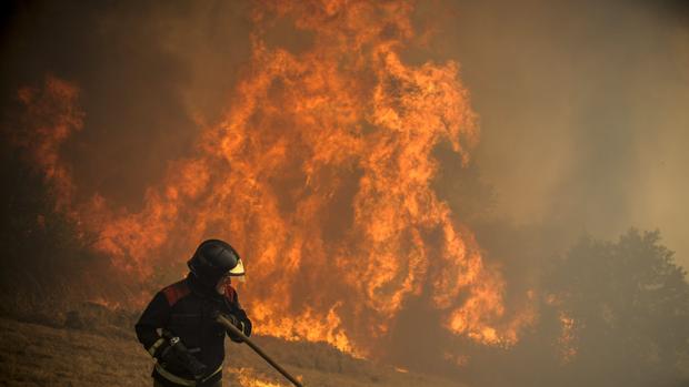 Piden 15 años para un brigadista que quemó 200 hectáreas en 2013