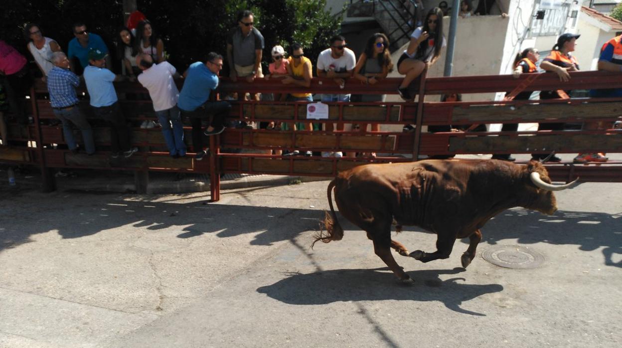 Encierros de Galapagar