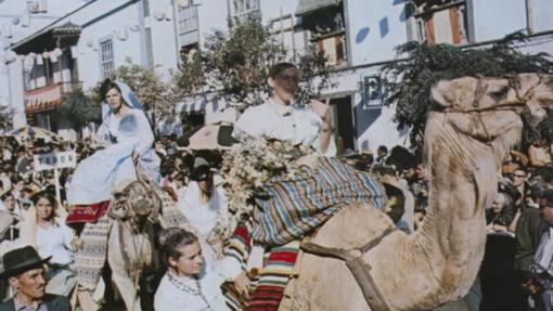 Siete escenas del pasado rural de Canarias