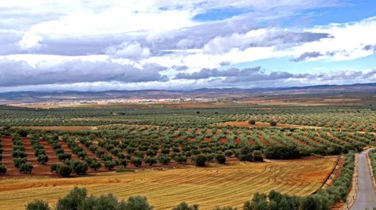 Imagen de un paraje del Campo Montiel, donde estaba previsto desarrollar el proyecto de tierras raras