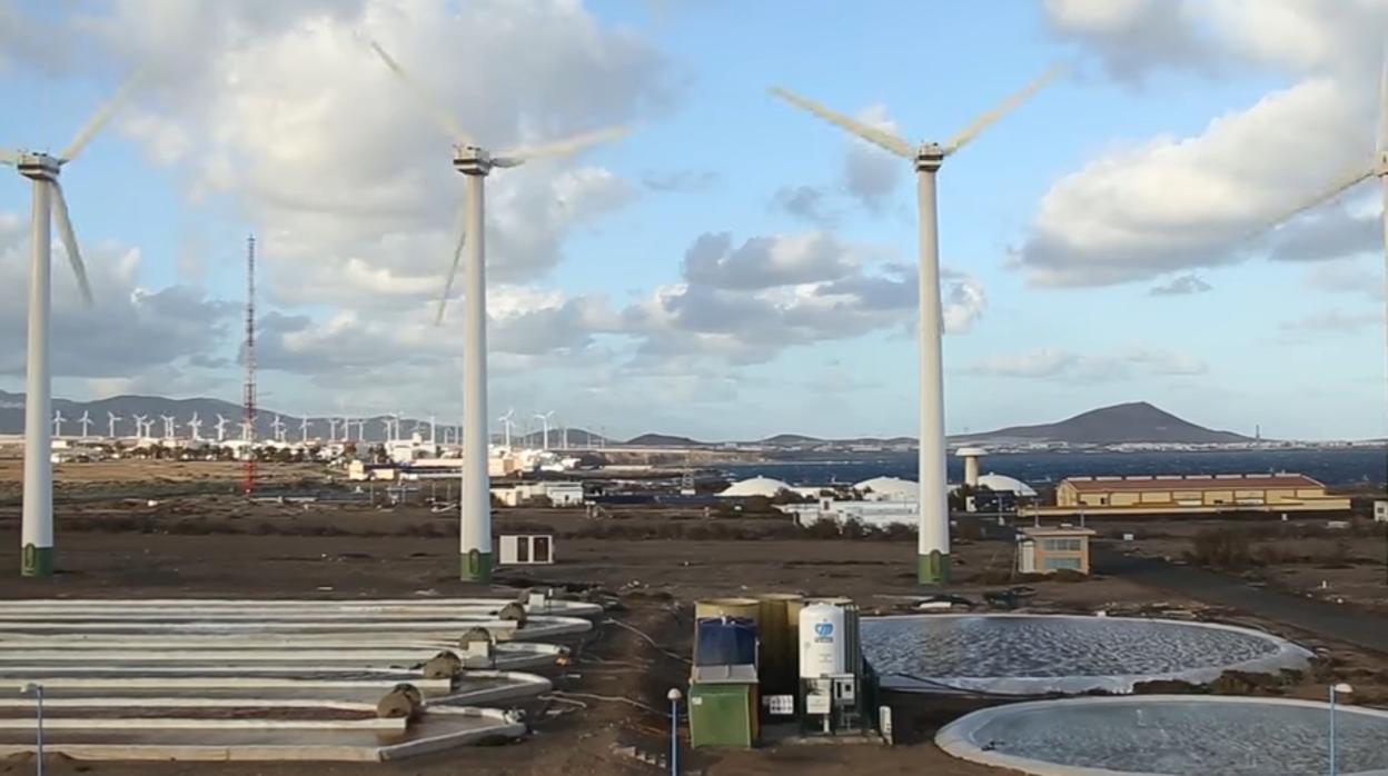Gran Canaria coloca la tecnología española del agua a Corea del Sur