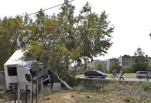 Imagen del camión accidentado