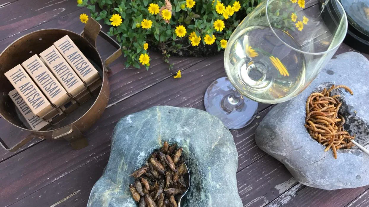 Catas con gusanos y saltamontes, la propuesta de Rueda para mostrar la «versatilidad» de sus vinos