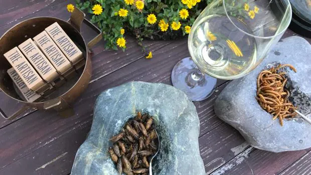 Catas con gusanos y saltamontes, la propuesta de Rueda para mostrar la «versatilidad» de sus vinos