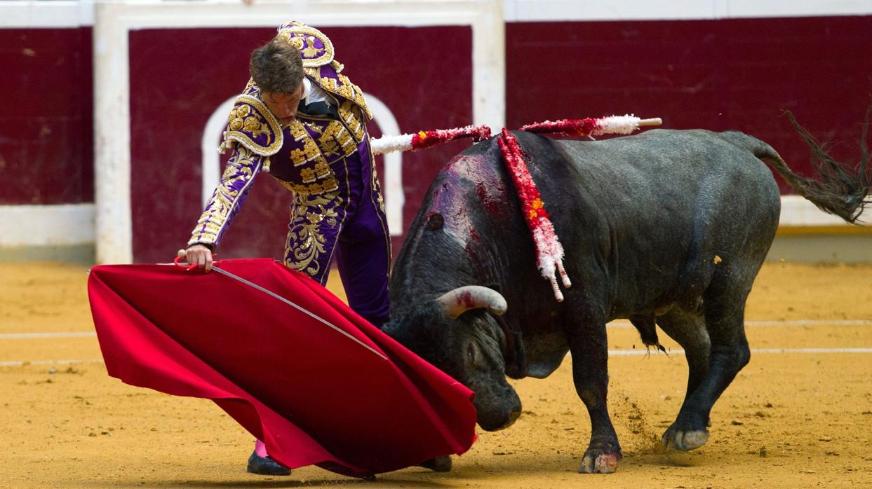 El diestro Manuel Escribano torea este domingo en Consuegra