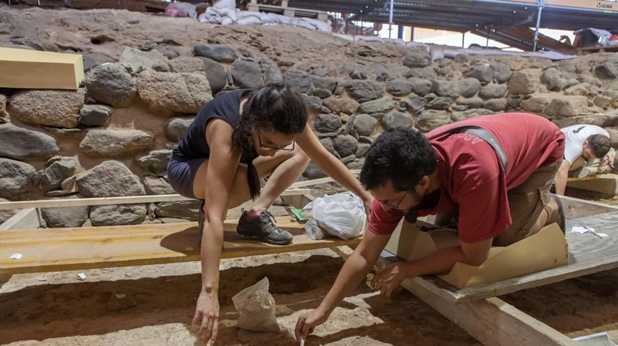 El alucinante nuevo hallazgo arqueológico de Canarias