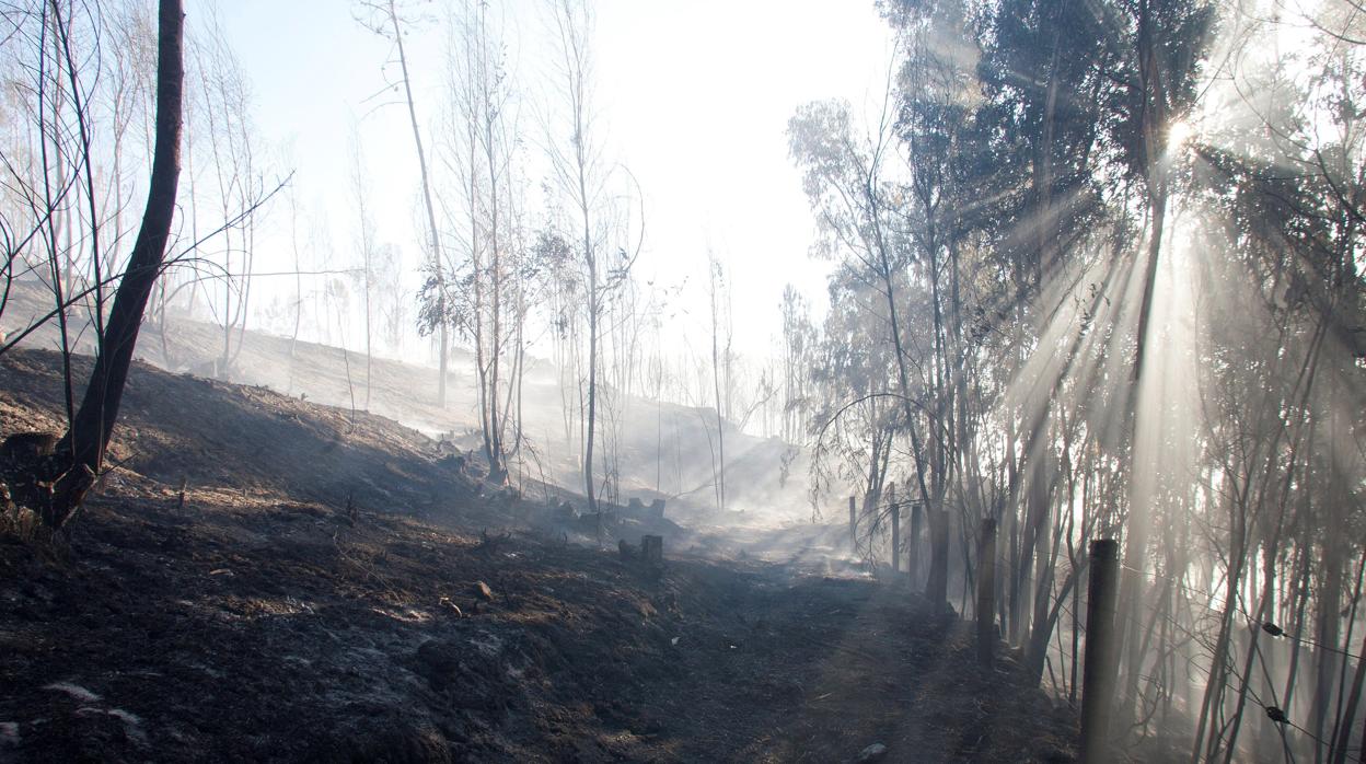 Superficie quemada en Mondariz, tras una intensa noche de lucha contra el fuego