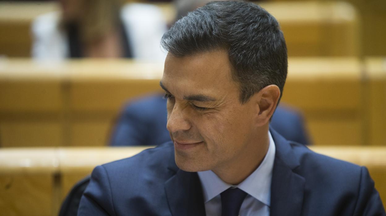 Pedro Sánchez, presidente del Gobierno, en el Senado