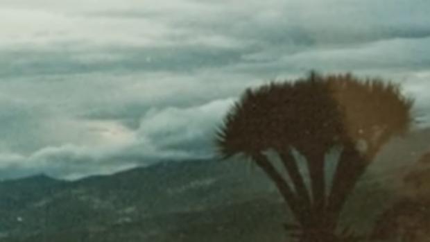 Vídeo: el huracán de 1856 en Canarias que dejó 298 muertos