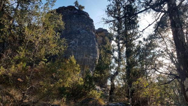 Tamajón acogerá el XI Día de la Sierra de Guadalajara próximo 20 de octubre